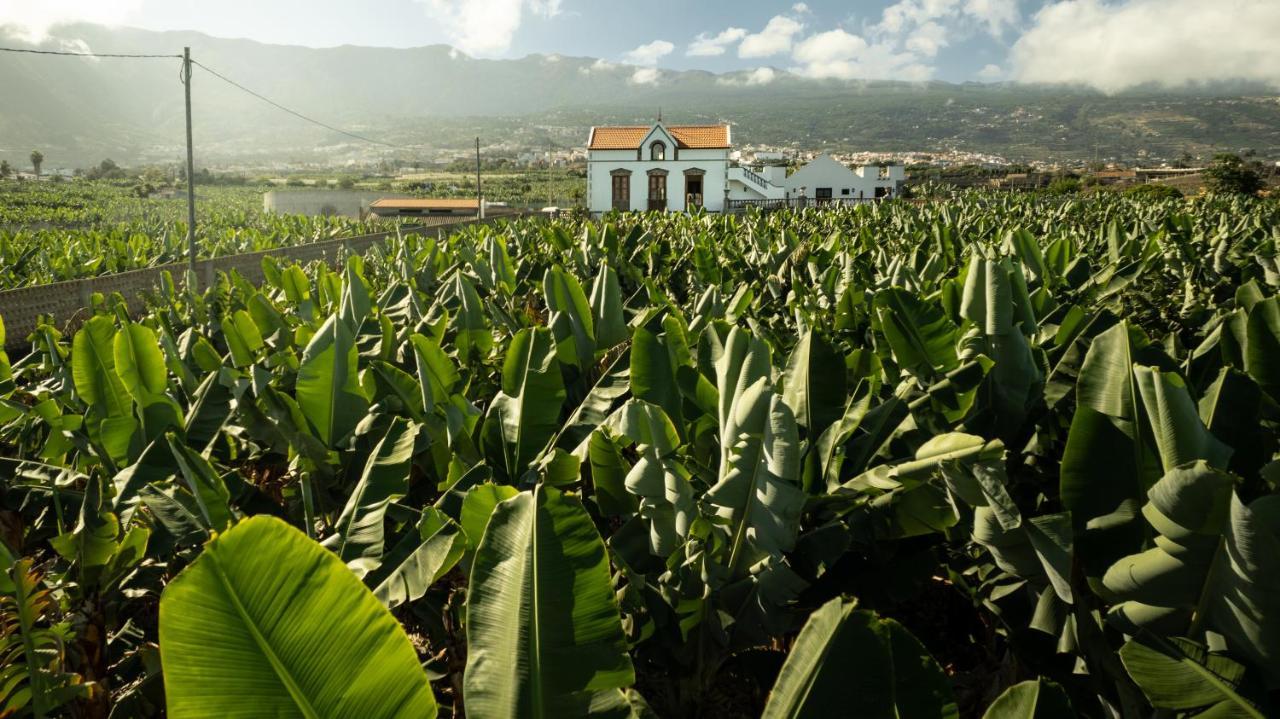 Hacienda Los Orovales プエルト・デ・ラ・クルス エクステリア 写真