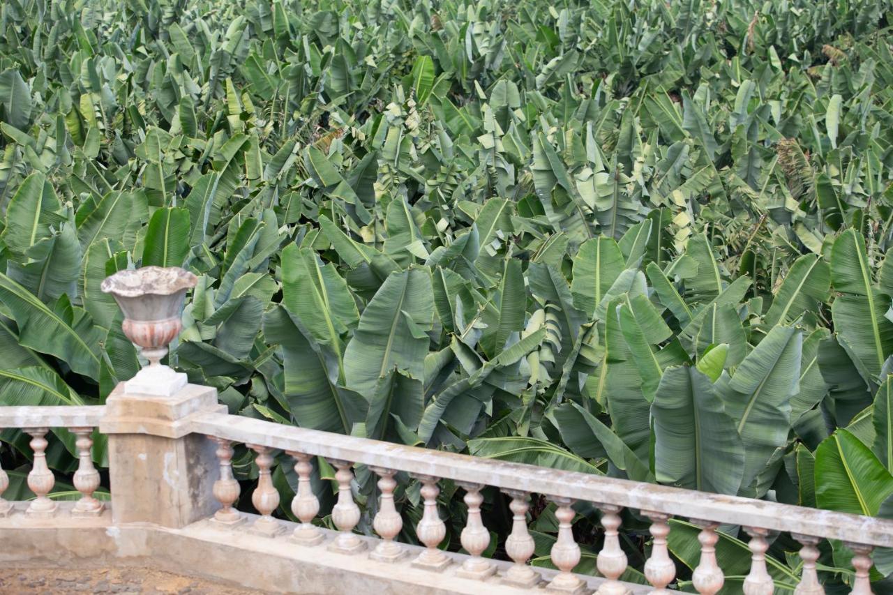 Hacienda Los Orovales プエルト・デ・ラ・クルス エクステリア 写真