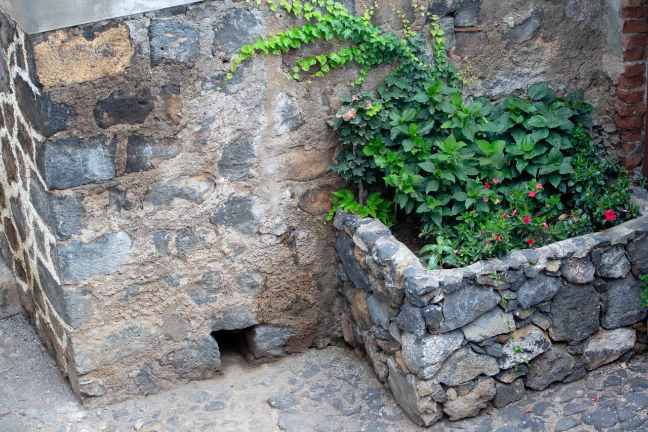 Hacienda Los Orovales プエルト・デ・ラ・クルス エクステリア 写真